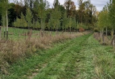 Tour Wandern Thiescourt - thiescourt fontaine des loups a/r - Photo