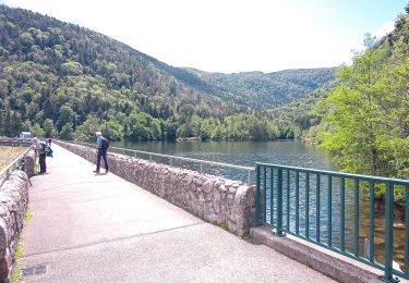 Tocht Stappen Oberbruck - Oberbrück - Baerenbach (18/6/2020) - Photo