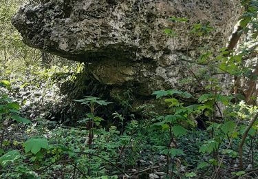 Trail Walking Vexin-sur-Epte - Pierre tournante et allée couverte  - Photo