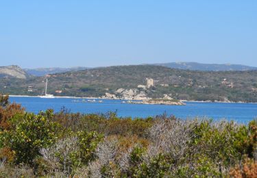 Excursión Senderismo Figari - sentier littoral baie de Figari  - Photo