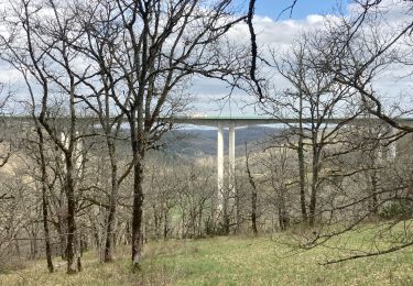 Tour Wandern Francoulès - Francoules  - Photo