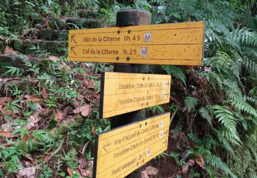 Tour Wandern Capesterre-Belle-Eau - Deuxième chute du Carbet - Photo