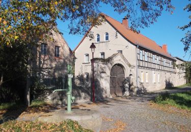 Tour Zu Fuß Crossen an der Elster - Mühlberg - Photo