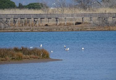 Percorso Marcia Roquebrune-sur-Argens - Saint-Aygulf - La Gaillarde - Etangs de Villepey - Sentier des douaniers - Photo