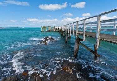 Randonnée A pied Waiheke - Rangitoto Coastal Walk - Photo