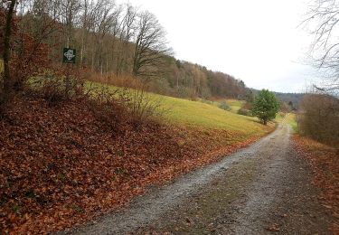 Tour Zu Fuß Boppelsen - Boppelsen - Greppe - Photo