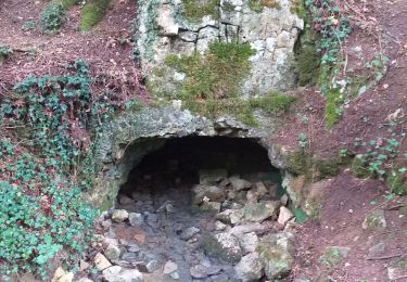 Tour Wandern Rioz - Rioz, d'un rail à l'autre - Photo