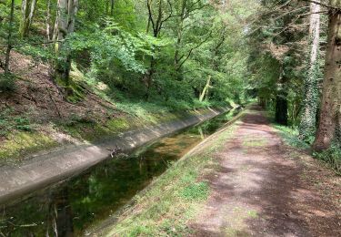Percorso Marcia Saint-Nabord - ST Nabord - Noirgueux - Moselle - Photo