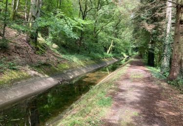 Tocht Stappen Saint-Nabord - ST Nabord - Noirgueux - Moselle - Photo