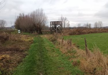 Tocht Stappen Glabbeek - Bunsbeek - Photo