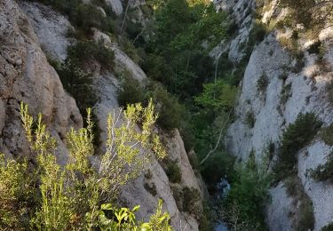 Randonnée Marche Le Tholonet - Ste Victoire Petite mer et 4 barrages - Photo