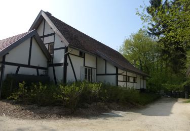 Randonnée A pied Saint-Trond - Nieuwenhoven Oranje bol - Photo