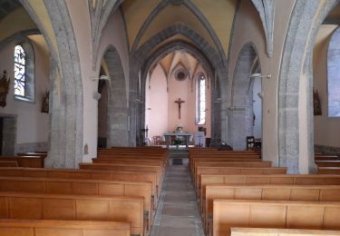 Trail Walking Golinhac - live Golinhac - Conques  - Photo