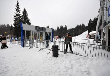 Percorso A piedi Špindlerův Mlýn - [M] Medvědín okruh - Photo