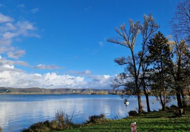 Tocht Stappen Amfreville-sous-les-Monts - 2023-11-14_19h20m12_activity_ppses_2YB5CqjD45NlyPy1ooHxJn51nhV - Photo