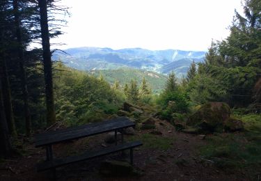 Excursión Bici de montaña Kirchberg - test - Photo