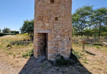 Tocht Stappen Talmont-Saint-Hilaire - Autour de Port Bourgenay - Photo