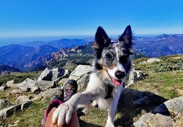 Tour Wandern Rosazia - Monte Cervellu - Photo