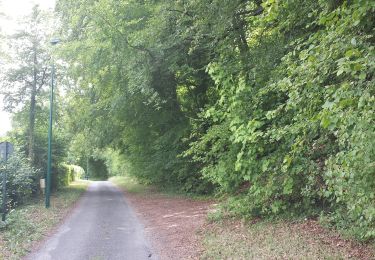 Tocht Stappen Ry - 20180717 Ry - Photo