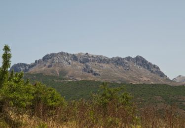 Tour Zu Fuß Bitzi/Bitti - (SI Z09) Caserma Forestale “Gianni Stuppa” - Vecchia Cantoniera di Sant’Anna - Photo