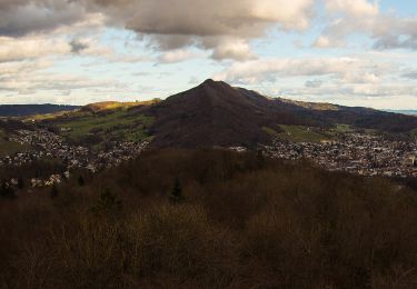 Percorso A piedi Gebenstorf - Badener Running Walking Trail Lang - Photo