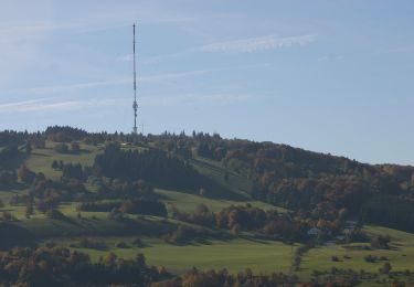 Excursión A pie Bischofsheim i.d.Rhön - Osterburg - Gemündener Hütte und Kreuzberg - Photo