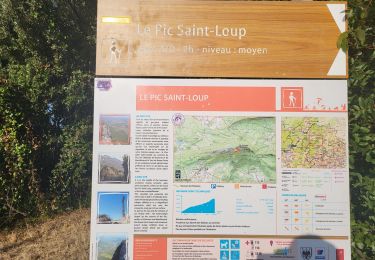 Trail Walking Cazevieille - Pic St Loup - Photo
