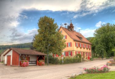 Trail On foot Bretzfeld - Siebeneich Rundweg 2 - Photo