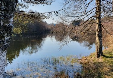 Tour Wandern Pérols-sur-Vézère - Longeroux_Combe Prunde - Photo
