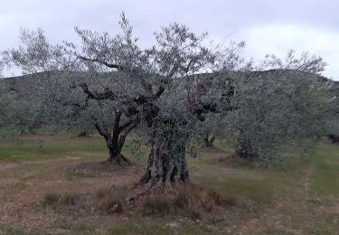 Excursión Senderismo Les Mées - LES MEES .Chapelle St Pierre , la Bressanne , la Bessonne o l s - Photo