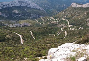 Excursión Senderismo Gémenos - Roques Fourcades - Photo