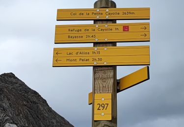 Percorso Marcia Allos - Lac d'Allos petite cayolle - Photo