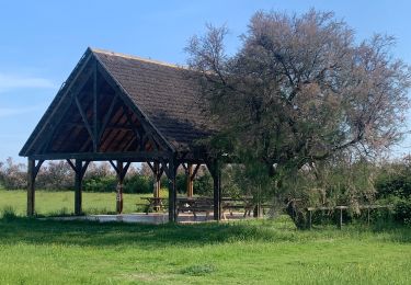 Trail Walking Candillargues - Candillargues - Photo