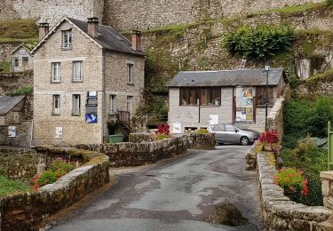 Percorso Corsa a piedi Lacelle - Jour 18 CAP Jeanot - Photo