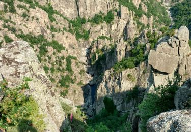 Tour Wandern La Bastide-Puylaurent - Randonnée de la Bastide Puylaurens à la Garde Guérin - Photo