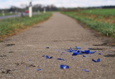 Tocht Te voet Schwäbisch Gmünd - Igginger Wanderweg 1 - Photo