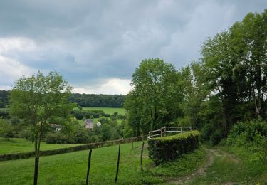 Trail Walking Voeren - A la dÃ©couverte de De Planck avec Koda ð¥¾ð - Photo