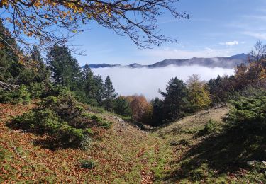 Trail Walking Prades - Prades col de la Gardie - Photo