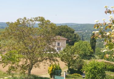 Excursión Senderismo Castelnau-de-Montmiral - Autour de Castelnau de Montmiral - Photo