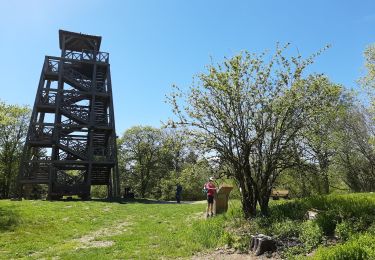 Tour Wandern Deux-Grosnes - Monsols - Mont Saint Rigaud - Photo