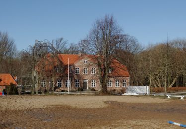 Percorso A piedi Rieseby - Rundwanderweg Stubbe-Büstorf - Photo