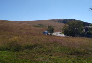 Tour Wandern Saint-Maurice-sur-Moselle - planche belles filles aller  - Photo