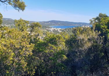 Excursión Ruta Cavalaire-sur-Mer - cavalaire, corniche des maures  - Photo