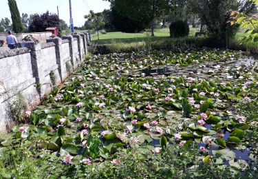 Randonnée Marche Brossac - étang vallier brossac - Photo