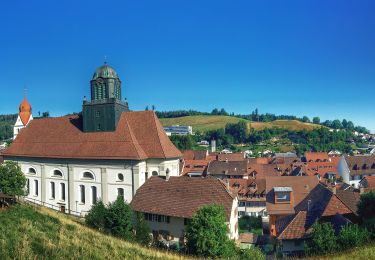 Randonnée A pied Willisau - Wilisau Schlossfeld - Mörisegg - Photo