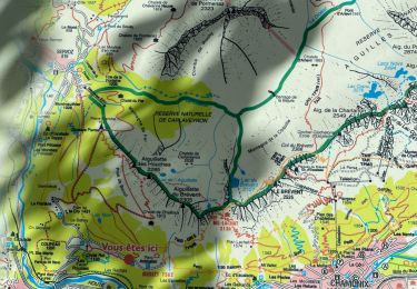 Trail Walking Les Houches - Chamonix :  l'aiguillette des Houches - Photo