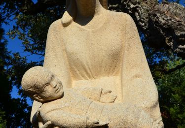 Trail Walking Roquebrune-sur-Argens - Parc des Issambres - Notre Dame des Dolmens - Photo