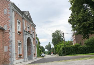 Randonnée Marche Hannut - La balade des chevées - Photo