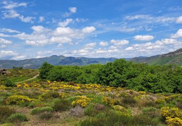 Tour Wandern Rosis - Circuit des banissous - Photo