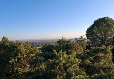 Excursión Senderismo Caumont-sur-Durance - Rando repas - Caumont - Chateauneuf de Gadagne - le 06 02 2025 - Photo